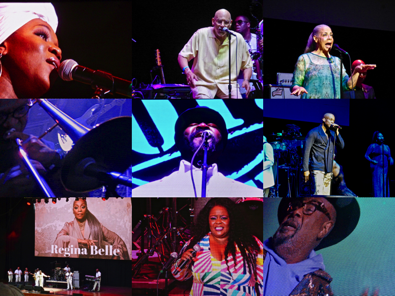 Artists Wow the Crowds at the 2019 Capital Jazz Festival